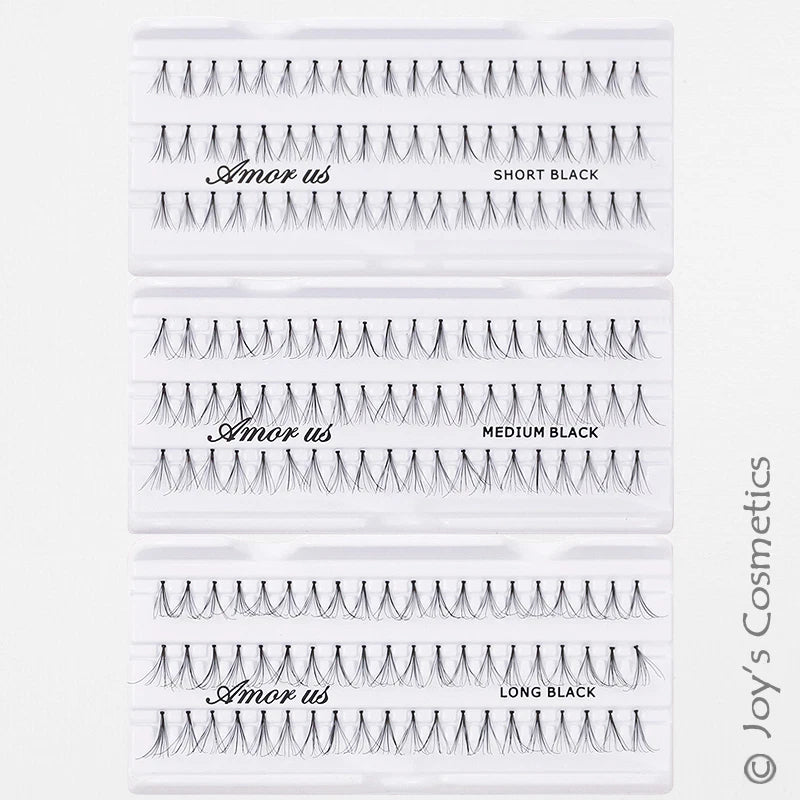 1 AMOR US Individual Fake Flare Eyelashes "Pick Your 1 Type" Joy's cosmetics
